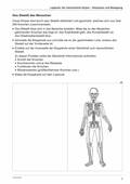 Der menschliche Körper, Körperbau und Bewegung, Lapbooks gestalten, Biologie, 5. und 6. Klasse