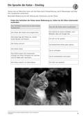 Sprache der Katze, Last-Minute-Vorbereitung, Biologie, 5. Klasse