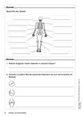 10-Minuten-Tests: Körper und Gesundheit – Kurze kompakte Übungseinheiten und Minitests, Sachunterricht, 3. und 4. Klasse 10-Minuten-Tests: Körper und Gesundheit – Kurze kompakte Übungseinheiten und Minitests, Sachunterricht, 3. und 4. Klasse