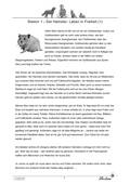 Hund, Katze, Hamster und Co.: Unsere Haustiere: Nagetiere, Sachunterricht, 3. und 4. Klasse