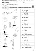 Mein Körper – Lesespurgeschichte zum Themenfeld Körper, DaF/DaZ, 1. bis 4. Klasse