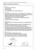 Tiere im Winter: Wie überwintern Tiere?, Sachunterricht, 1. bis 4. Klasse
