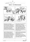 Tiere im Winter: Wildschwein, Reh und Dachs, Sachunterricht, 3. und 4. Klasse