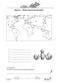 Kartoffel: Geschichte, Herkunft, Schädlinge, Kartoffelsorten und -speisen, Sachunterricht, 3. und 4. Klasse