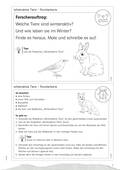 Winteraktive Tiere, Lapbook Differenziert, vielfältige Bastelvorlagen, Sachunterricht, 1. bis 4. Klasse