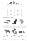 Hund, Katze, Hamster und Co.: Unsere Haustiere: Katze und Hund, Sachunterricht, 3. und 4. Klasse