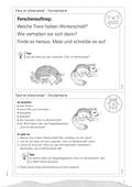 Tiere im Winterschlaf, Lapbook Differenziert, vielfältige Bastelvorlagen, Sachunterricht, 1. bis 4. Klasse