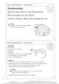 Tiere in der Winterstarre, Lapbook Differenziert, vielfältige Bastelvorlagen, Sachunterricht, 1. bis 4. Klasse