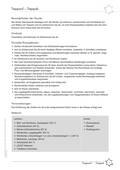 Treppauf - Treppab im Zahlenraum bis 20, Sternstunde zum Orientieren und Rechnen, Mathematik, 1. Klasse